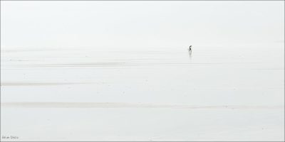 Leaving The Beach, Brian Dicks