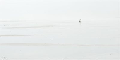 Leaving The Beach, Brian Dicks