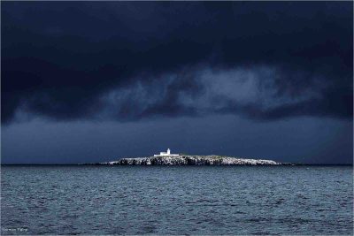 Lighthouse Inner Farne, Norman Raine