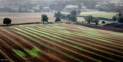 Lines Of The Land, Steve Banner