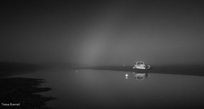 Lone Gull, Tessa Bramall