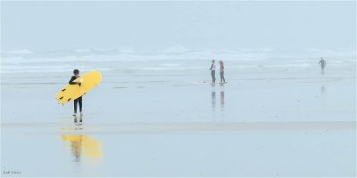Misty Day At The Beach, Judi Dicks