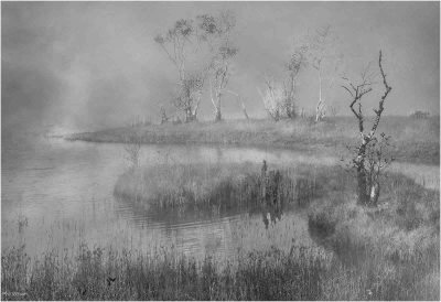 Rising Mist, Phil Wilson