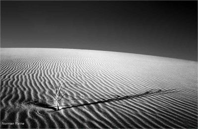Sand Dunes Oregon
