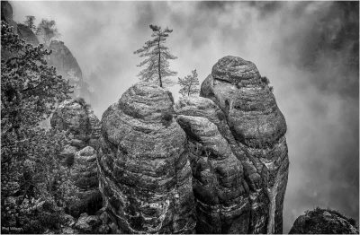Saxon Switzerland, Phil Wilson