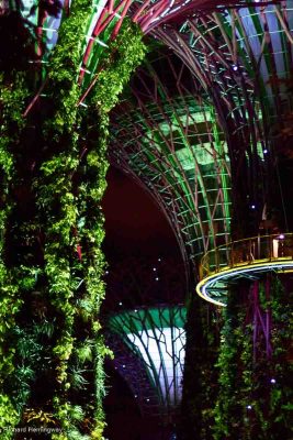 Super Tree Grove, Richard Hemingway