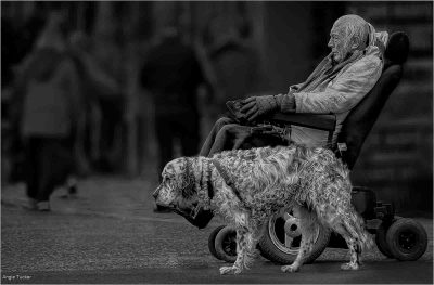 Walking The Dog, Angie Tucker