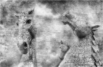 War Horse, Phil Wilson