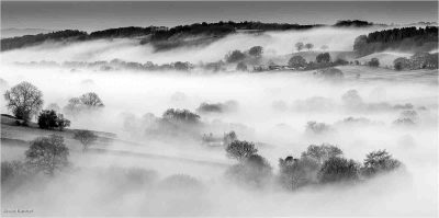 Where Mornings Dreams Drift, Steve Banner