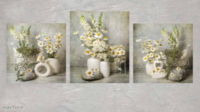 Wild Flowers