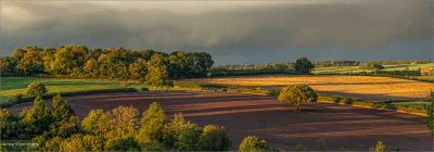 Autumn Shadows, Anna Warrington