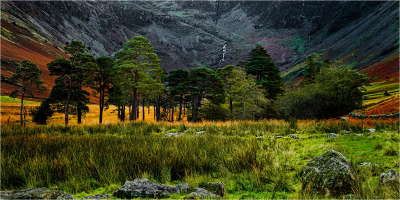 2-The-Copse-at-Buttermere 17