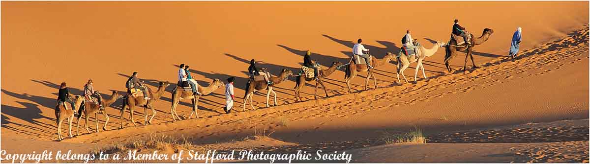 17.037-Camel-Train