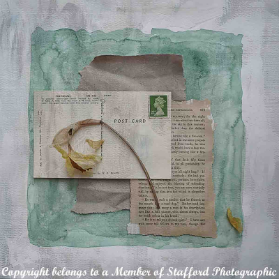 17.692-still-life-with-daffodils-1