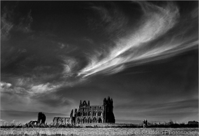 19 Walking-the-Abbey-Grounds