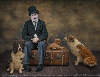 19-Who-Let-The-Dogs-Out