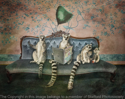 19-fairytales-can-come-true