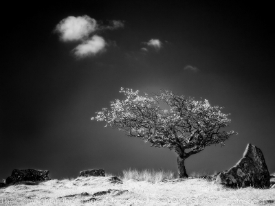 18 Between a Rock and a Soft Place