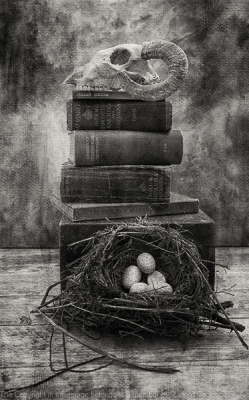 17-Birth-Life-and-Death-mono