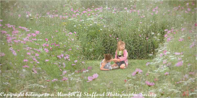 19 In the wild flower meadow