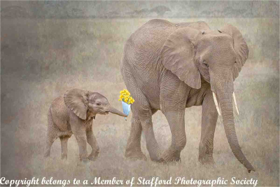 20 Mothers-day