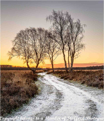 18-A-Dusting-Of-Snow-At-Sunrise