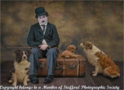 20-Who-Let-The-Dogs-Out