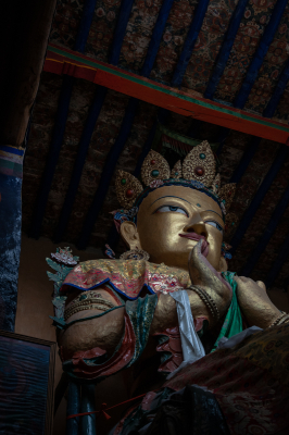 Ladakh 11