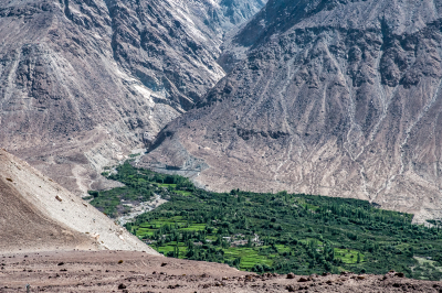 Ladakh 13