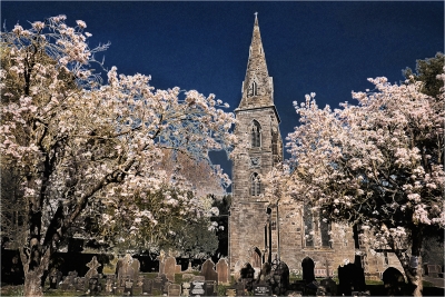 Spring Blossom at Aston Church
