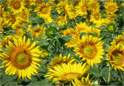17.2 Sunflowers