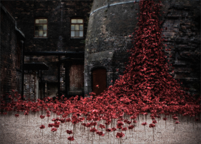 Weeping Poppies at Middleport (12)
