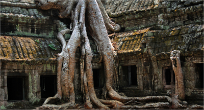 Ruins at Angkor Wat