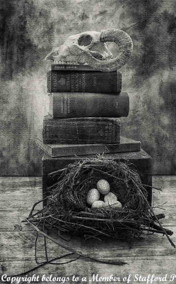 Birth-Life-and-Death