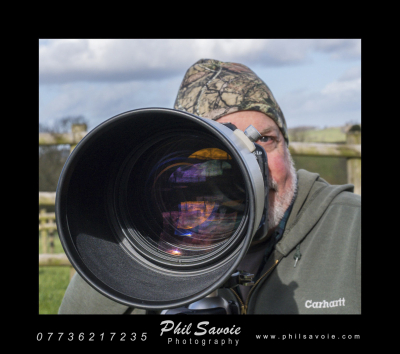 Phil Savoie Photo 221101 LongLensSighting