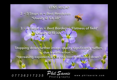 Phil Savoie Photo Lens Recap-